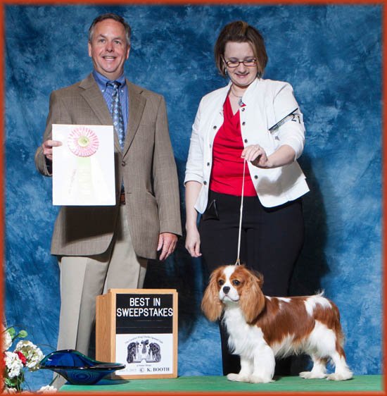 Best In Sweepstakes - Judge Kevin Cline - CKCSC of Greater Chicago, (6/2015)