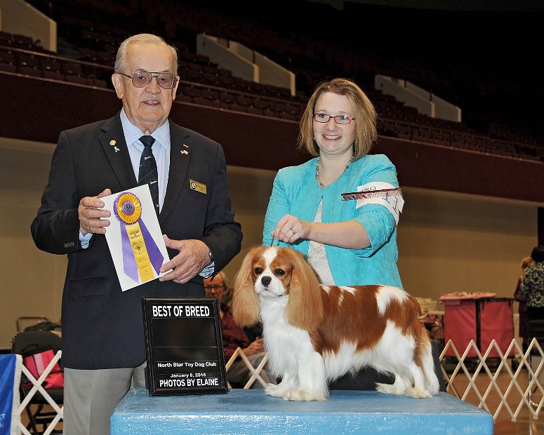 Ray BOB Nothern Toy Specialty Club ST Paul MN 1-2015