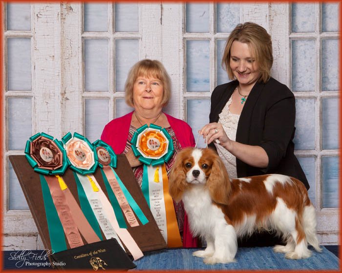 Reserve Best In Show - Judge Sandra Ireland, UK (Charnel) Cavaliers of the West, Oakland, CA 7/5/15