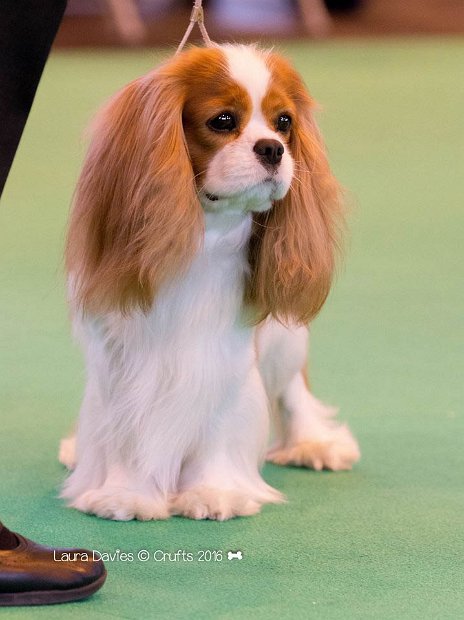 Ray Crufts Standing Laura Davies