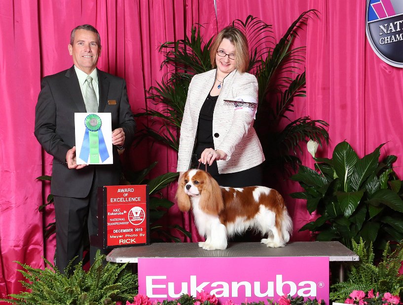 Ray Eukanuba Dec 2015 AOM Dana Cline Crop