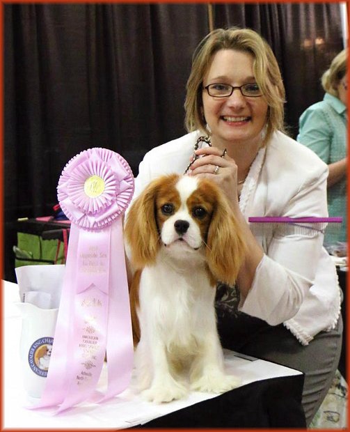 Best Of Opposite in Sweepstakes Judge Sandy Harrison - ACKCSC Nationals 2015 Asheville, NC