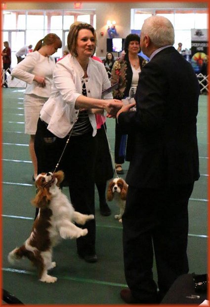 Reserve Winners Dog, Judge Kevan Berry, UK (Ricksbury) - ACKCSC Nationals 2015 Asheville, NC