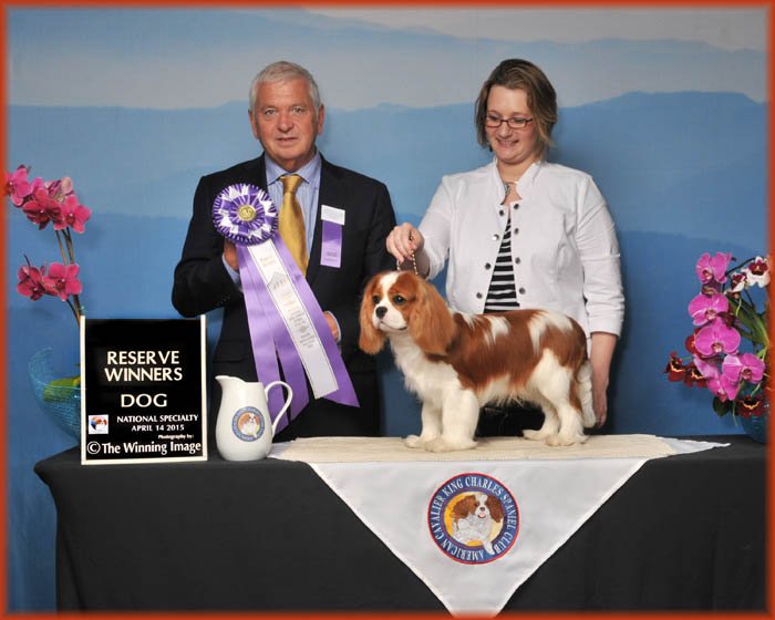 Reserve Winners Dog, Judge Kevan Berry, UK (Ricksbury) - ACKCSC Nationals 2015 Asheville, NC