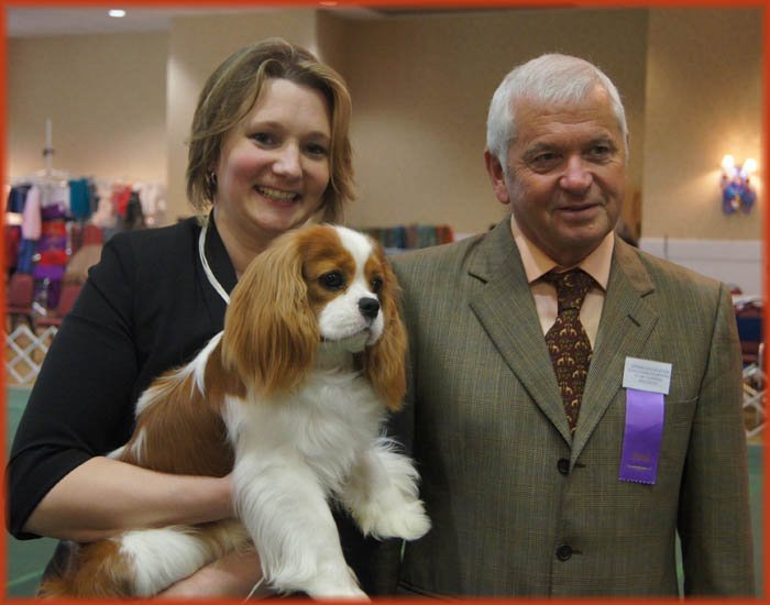 Reserve Winners Dog & Best Puppy, Judge Kevan Berry, UK (Ricksbury) - ACKCSC Nationals 2015 Asheville, NC