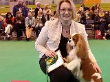 Ray Crufts BOB Knee2.jpg