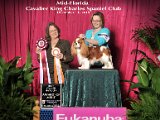 Ray Eukanuba Cavalier Specialty Dec 2015 AOM Owner Handler Cindy Huggins Large.jpg