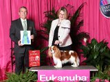 Ray Eukanuba Dec 2015 AOM Dana Cline Crop.jpg