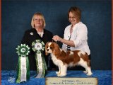 Ray Williamsburg Best Puppy 3-2015.jpg